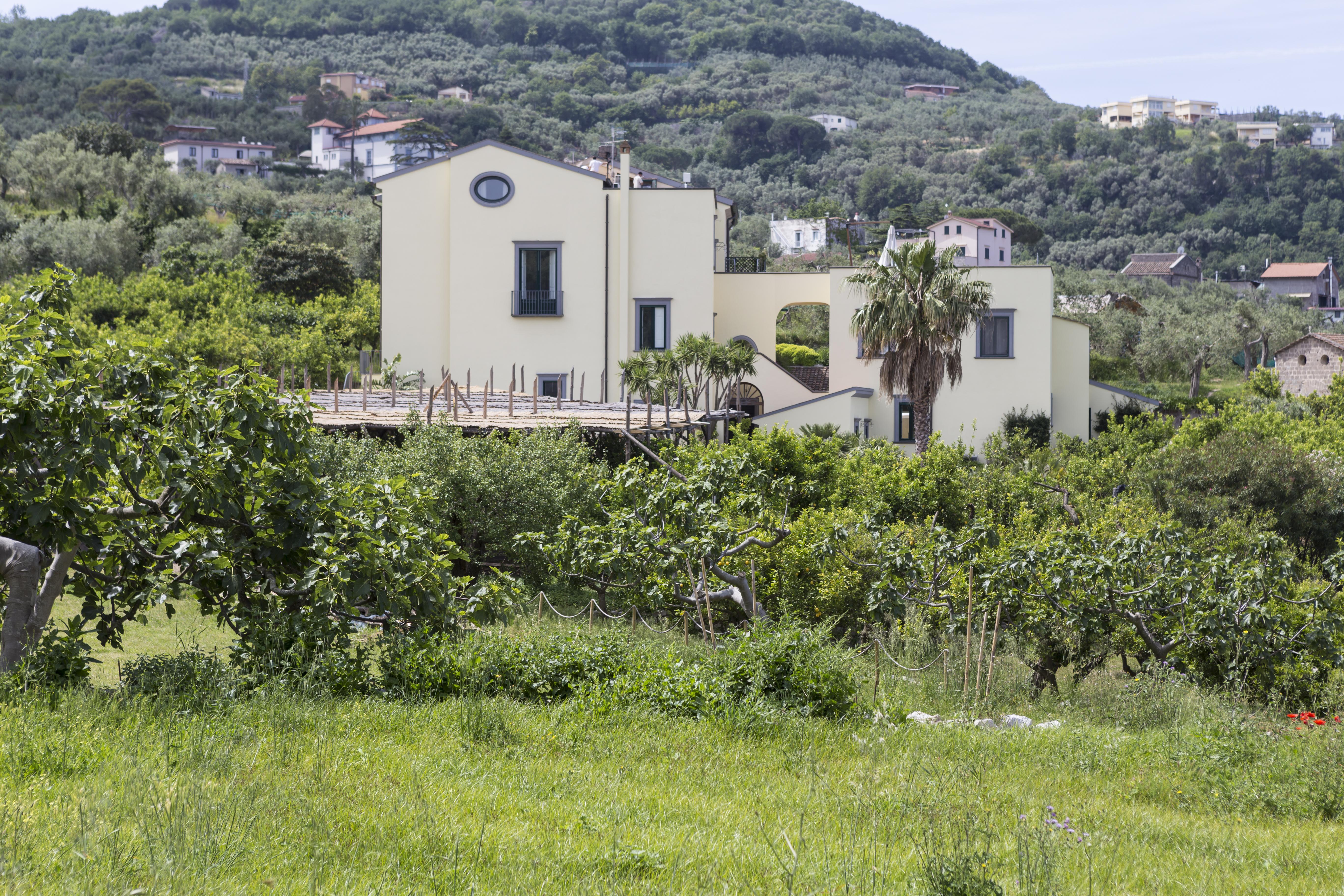 Relais Regina Giovanna Sorrento Buitenkant foto