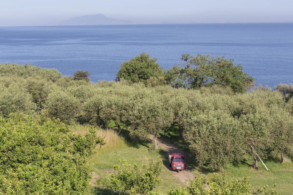 Relais Regina Giovanna Sorrento Buitenkant foto