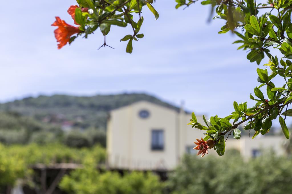 Relais Regina Giovanna Sorrento Buitenkant foto