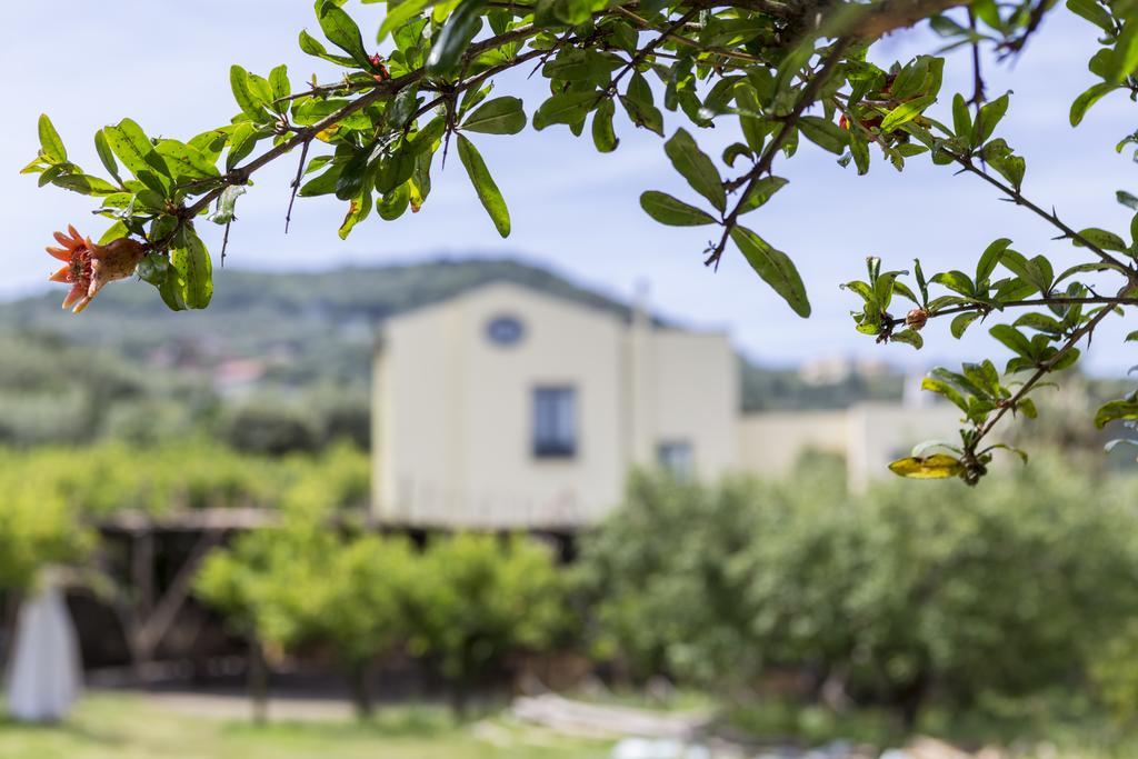 Relais Regina Giovanna Sorrento Buitenkant foto